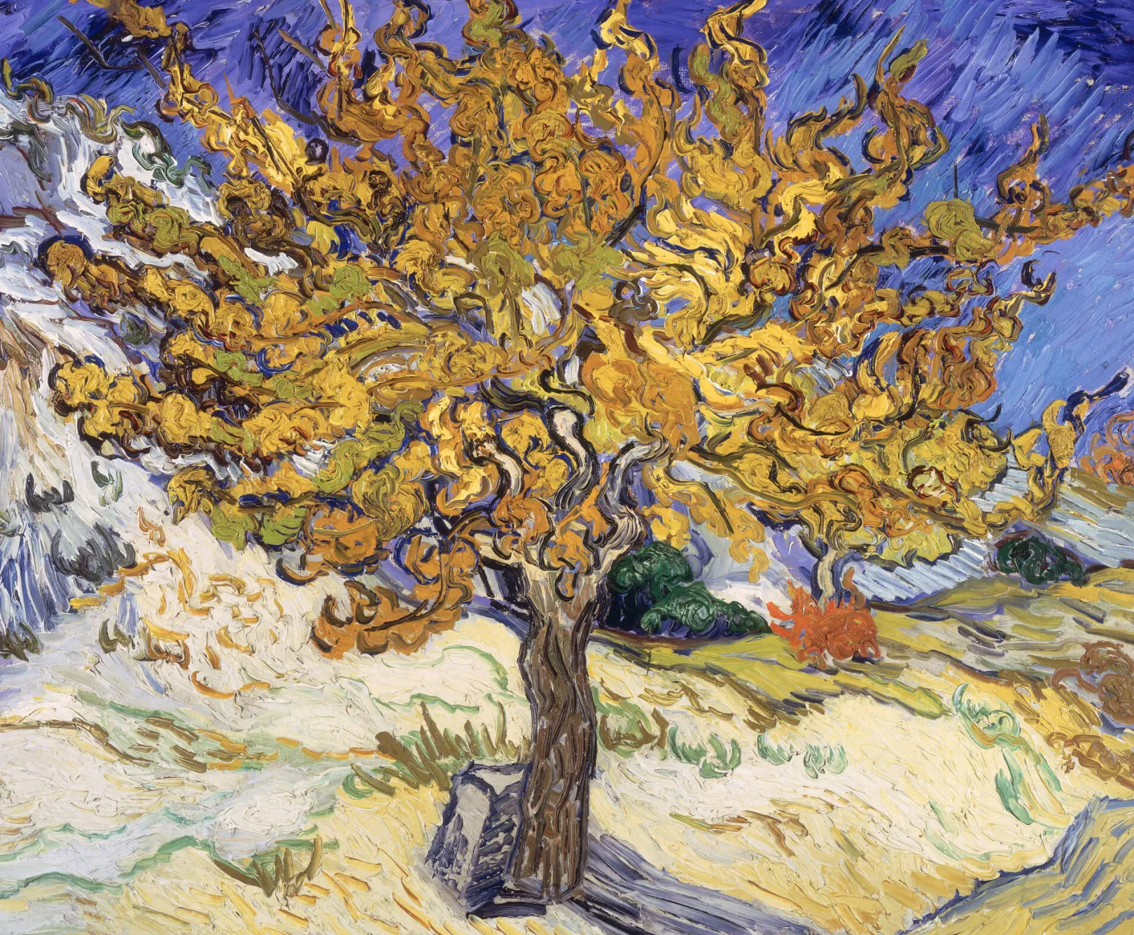 Galerie Mont Van Gogh<Der Maulbeerbaum - Vincent Van Gogh