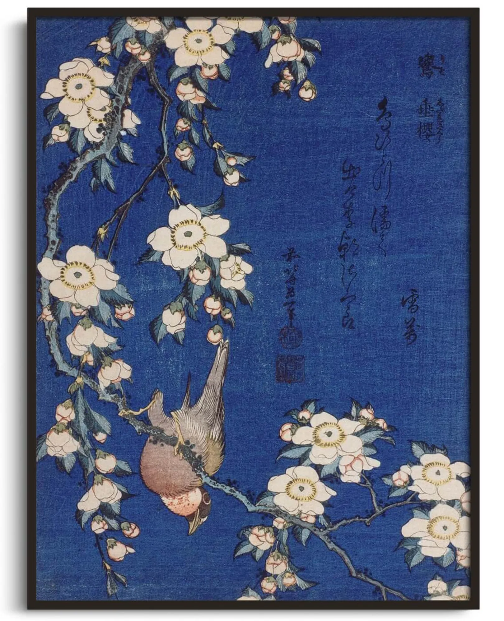 Galerie Mont Hokusai<Gimpel und Kirschblüte - Hokusai