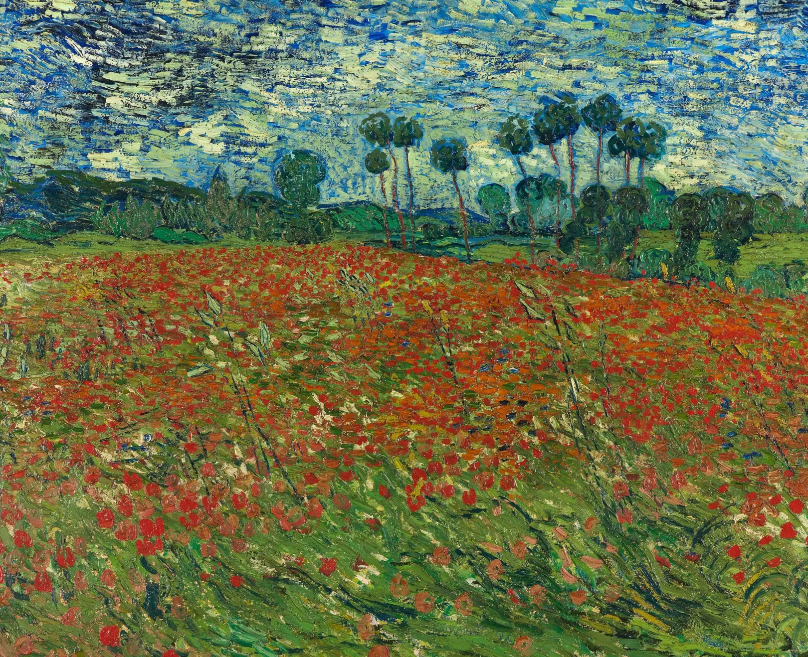 Galerie Mont Van Gogh<Mohnblumenfelder - Vincent Van Gogh