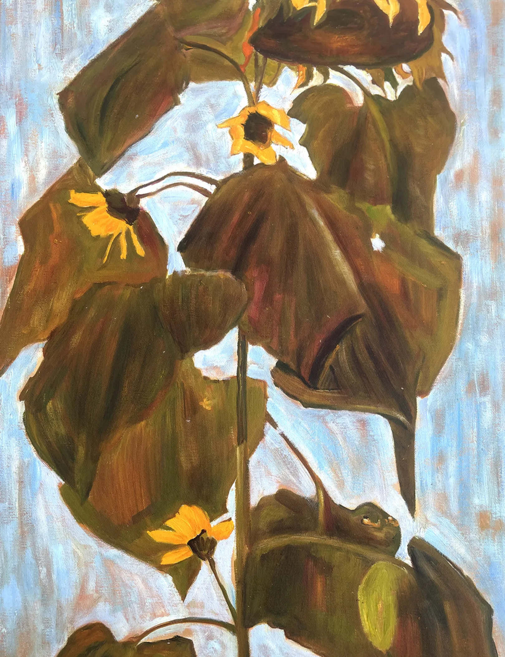 Galerie Mont Schiele<Sonnenblume 1908 - Egon Schiele